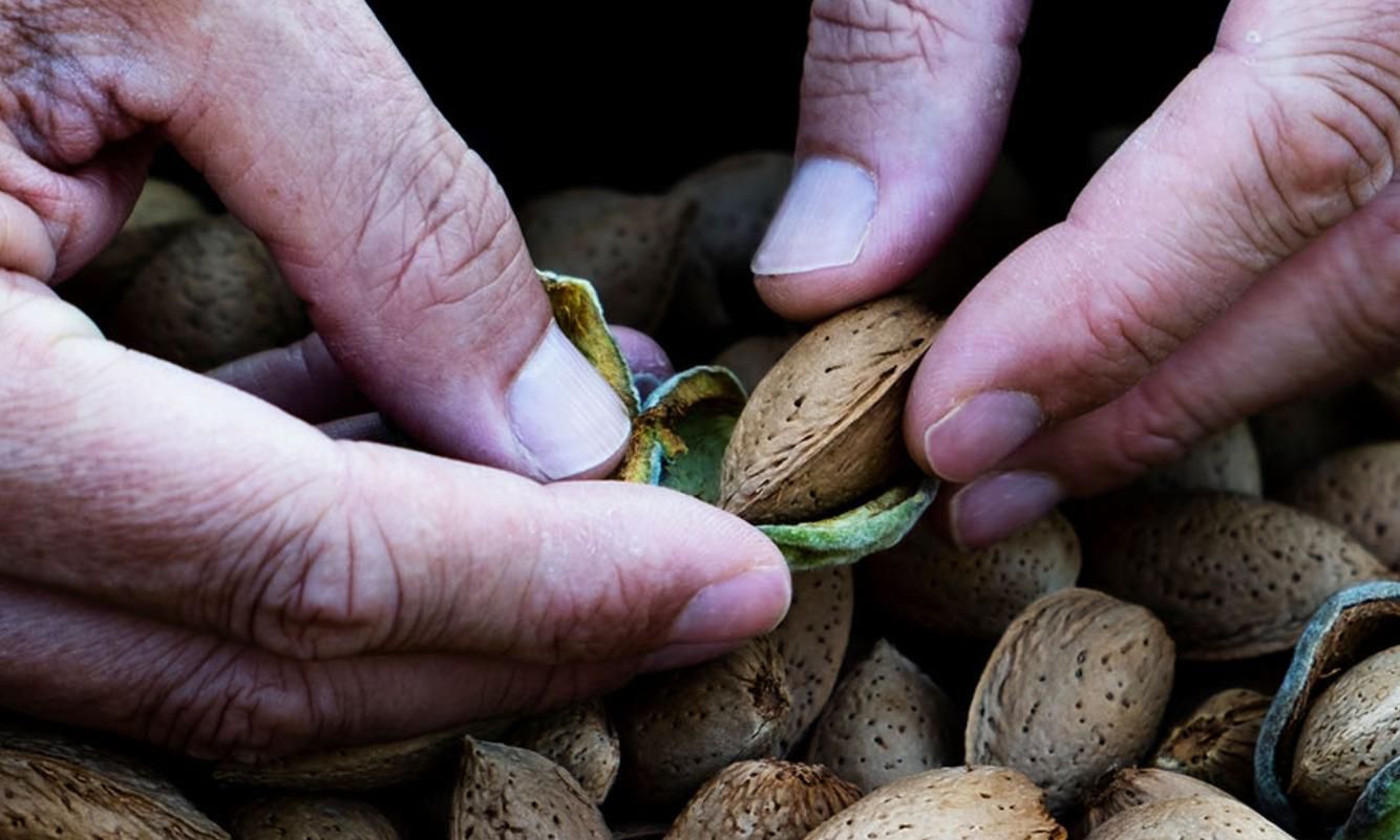 Ořechy a ovoce Frutos secos AURO